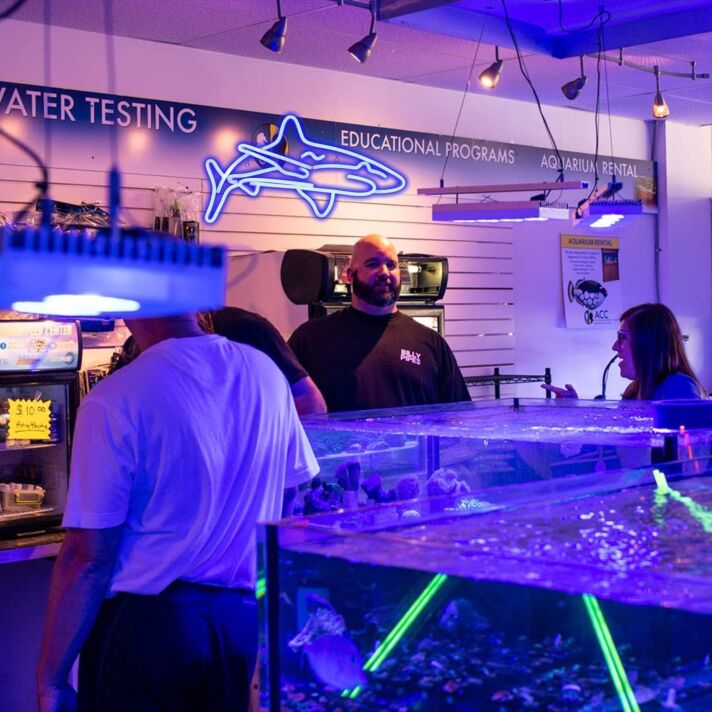Hai LED-Neonschild für Aquarium und Meeresthema