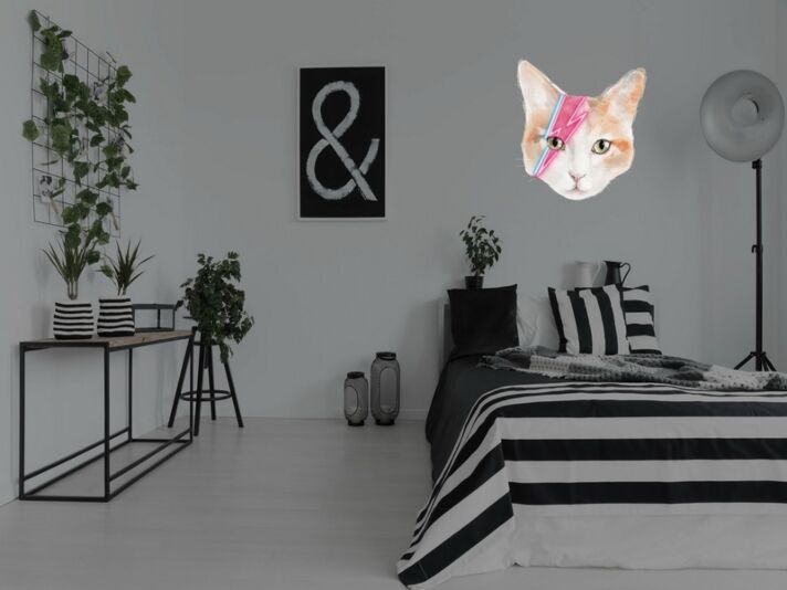 Katze mit Blitzsymbol LED-Neonschild Schlafzimmer Wohnzimmer