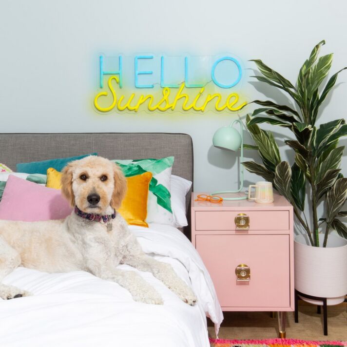 HELLO Sunshine LED-Neonschild für Schlafzimmer oder Wohnzimmer
