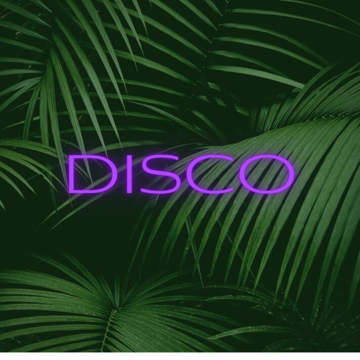 DISCO LED-Neonschild für Club und Bar