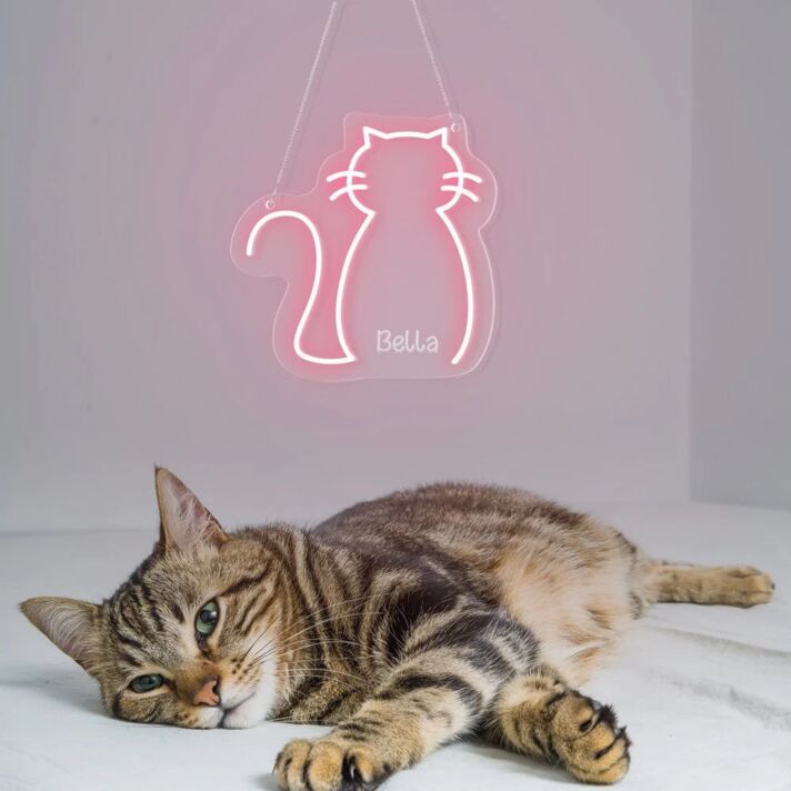Katze LED Neonschild für Haustierbereich und Wohnzimmer