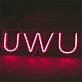 UWU LED-Neonschild Wohnzimmer Schlafzimmer