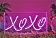 Brighten Up Your Wedding, Bar, and Home Atmosphere with Xoxo Lightbox LED Neon Sign.