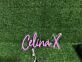 Brighten Up Your Space: Celina X Custom LED Neon Sign for Home Decor, Office Ambiance, and Vibrant Storefronts
