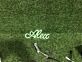 Brighten Your Special Moments: Personalize Custom Alex LED Neon Sign for Weddings, Home Decor, and Trendy Bars.