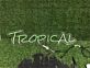 TROPICAL LED Neonschild für Bar, Lounge und Sommerdeko