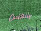 Cocktails LED-Neonschild für Bar und Club