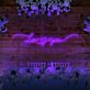 Love ♥ you LED-Neonschild Hochzeit Fotohintergrund