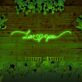 Love ♥ you LED-Neonschild Hochzeit Fotohintergrund