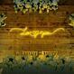 Love ♥ you LED-Neonschild Hochzeit Fotohintergrund