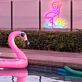 Flamingo mit Sonnenuntergang LED-Neonschild für Wohnzimmer und Bar