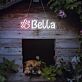 Bella LED-Neonschild für Haustierbereich Wohnzimmer