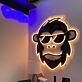 ScoTec LED-Neonschild für Büro Arbeitszimmer