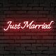 Brighten Up Your Wedding and Home Decor with the "Just Married" Words Neon Sign.