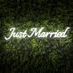 Brighten Up Your Wedding and Home Decor with the "Just Married" Words Neon Sign.