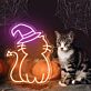 Katze mit Hexenhut LED-Neonschild für Halloween Wohnzimmer