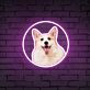 Corgi Hundekopf LED-Neonschild Wohnzimmer Haustierladen
