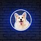 Corgi Hundekopf LED-Neonschild Wohnzimmer Haustierladen
