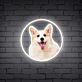 Corgi Hundekopf LED-Neonschild Wohnzimmer Haustierladen