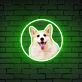 Corgi Hundekopf LED-Neonschild Wohnzimmer Haustierladen