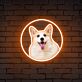 Corgi Hundekopf LED-Neonschild Wohnzimmer Haustierladen