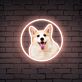 Corgi Hundekopf LED-Neonschild Wohnzimmer Haustierladen