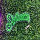 Slytherin LED-Neonschild für Gamingzimmer