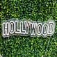 Elevate Your Space: White Hollywood Custom LED Neon Sign, Perfect for Home Decor, Bars, Weddings, and Exclusive Parties.