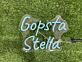 Gopsta Stella LED-Neonschild für Bar Club