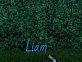 Liam LED-Neonschild für Kinderzimmer Wohnzimmer