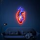 Anatomisches Herz LED-Neonschild Wohnzimmer Studio