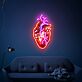 Anatomisches Herz LED-Neonschild Wohnzimmer Studio