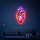 Anatomisches Herz LED-Neonschild Wohnzimmer Studio