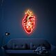 Anatomisches Herz LED-Neonschild Wohnzimmer Studio