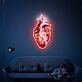 Anatomisches Herz LED-Neonschild Wohnzimmer Studio