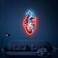 Anatomisches Herz LED-Neonschild Wohnzimmer Studio