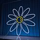 Gänseblümchen LED-Neonschild für Wohnzimmer und Café