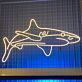 Hai LED-Neonschild für Bar und Restaurant