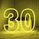 Hausnummer 30 LED-Neonschild