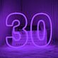 Hausnummer 30 LED-Neonschild