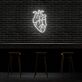 anatomisches Herz LED-Neonschild Bar Wohnzimmer