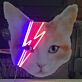 Katze mit Blitzsymbol LED-Neonschild Schlafzimmer Wohnzimmer