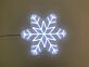 Snowflake Neon Sign