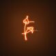Bts Flower Neon Sign
