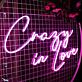 Crazy In Love Neon Sign