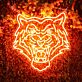 Tiger Neon Sign