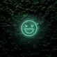 lachendes Emoji Gesicht LED-Neonschild Wohnzimmer Gamingzimmer