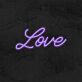 Love Neon Sign