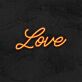 Love Neon Sign
