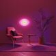 stilisiertes Auge LED-Neonschild Wohnzimmer Studio